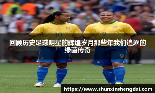 回顾历史足球明星的辉煌岁月那些年我们追逐的绿茵传奇